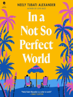 In_a_Not_So_Perfect_World